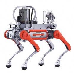 2 İlk Yardım köpeği